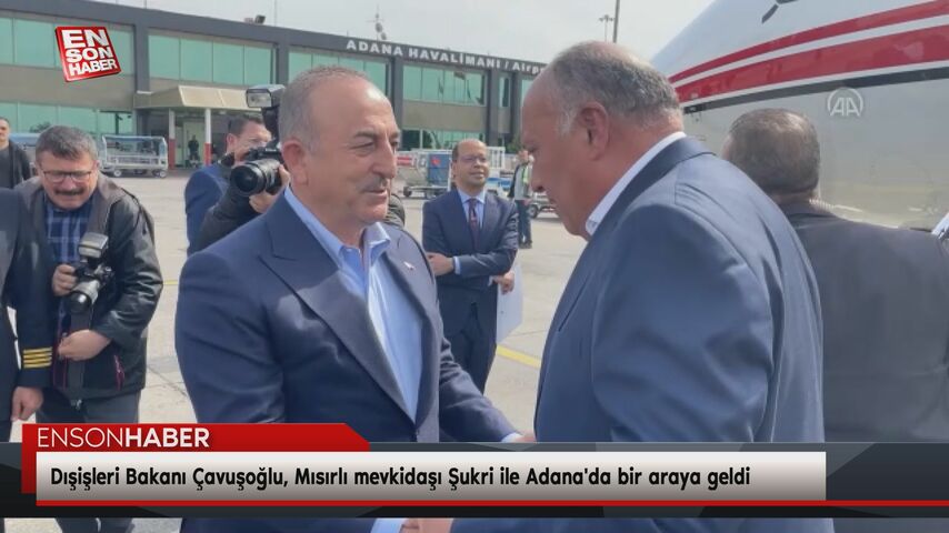 Dışişleri Bakanı Çavuşoğlu, Mısırlı mevkidaşı Şukri ile Adana’da bir araya geldi