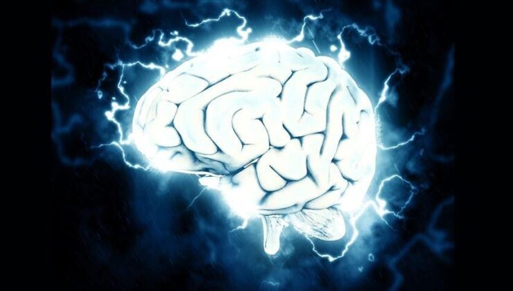 Bilim insanları beyindeki “iç pusulanın” nasıl çalıştığını tespit etti. Yönümüzü nasıl buluyoruz?