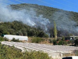 Antalya ve Muğla’da Orman Yangını
