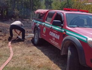 Düzce’deki orman yangını denetim altına alındı!