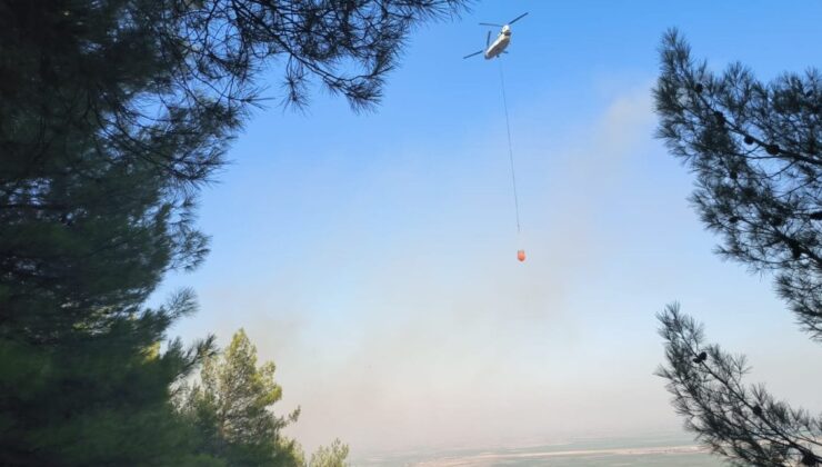 Hatay’da çıkan orman yangını denetim altına alındı