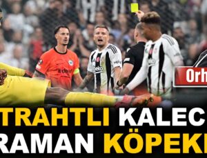 Aintrahtlı kaleci ve toraman köpekler