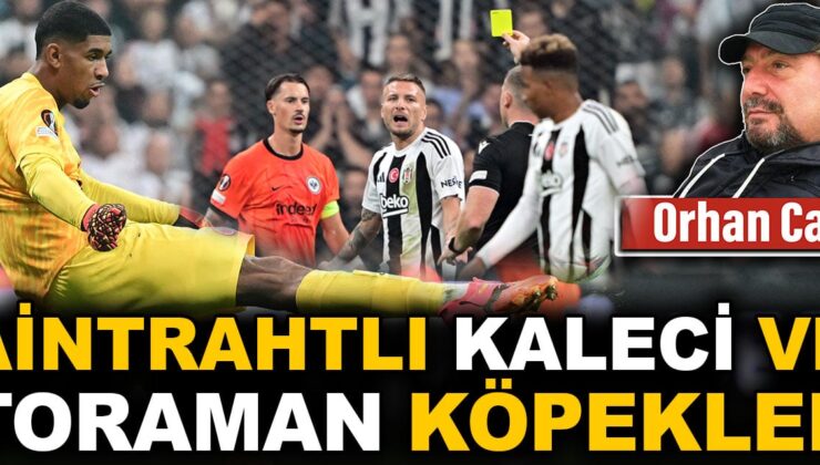 Aintrahtlı kaleci ve toraman köpekler