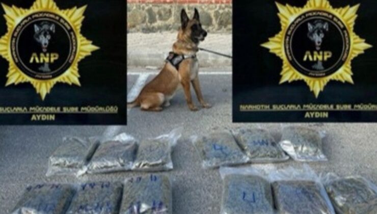 Aydın’da bir arabada 13 kilogram skunk yakalandı