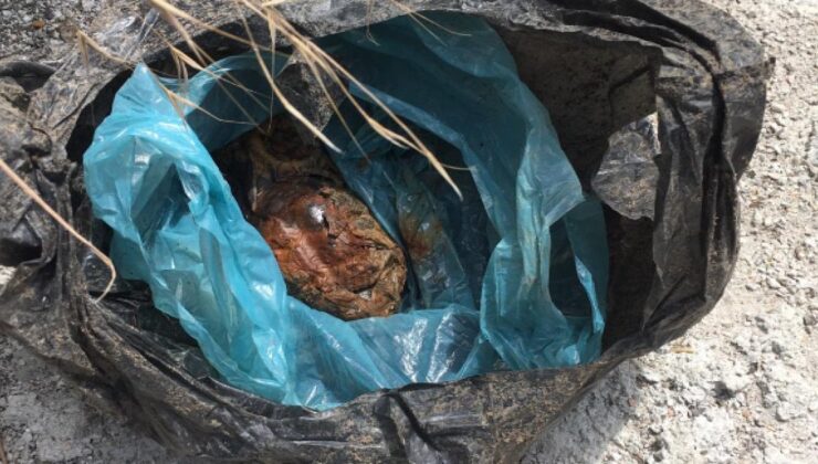 El bombası ve mühimmat dolu çanta bulundu