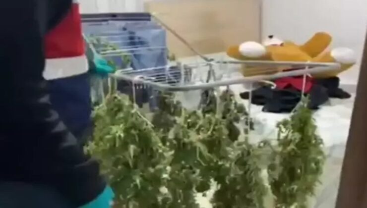 Kenevirleri çamaşırlığa asıp kurutmuşlar