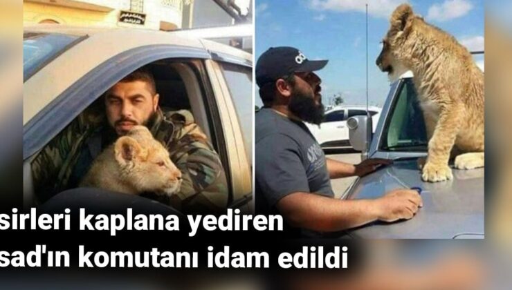 Esirleri kaplana yediren Esad’ın kumandanı idam edildi
