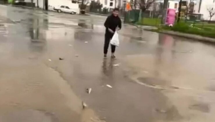 Bodrum’u vuran sağanakta değişik imajlar: Gölet taştı vatandaş saçılan balıkları topladı