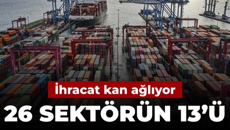 İhracat kan ağlıyor: 26 dalın 13’ü kayıpta